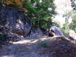 Lookout Mountain Trails