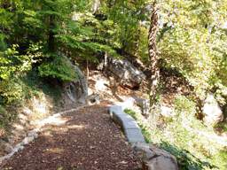 Lookout Mountain Trails