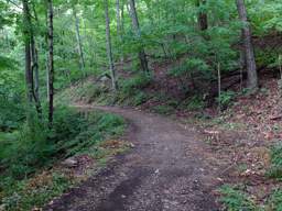 Lookout Mountain Trails