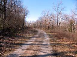 Lookout Mountain Trails