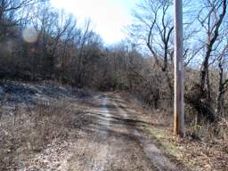 Lookout Mountain Trails