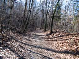 Lookout Mountain Trails