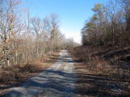 Lookout Mountain Trails