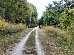 Lookout Mountain Trails