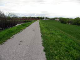 South Chickamauga Creek Greenway - Brainerd Levee