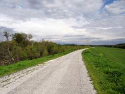 South Chickamauga Creek Greenway - Brainerd Levee