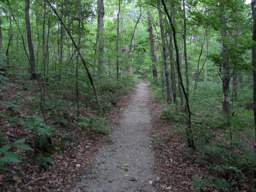 Shackleford Ridge Park