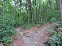Shackleford Ridge Park