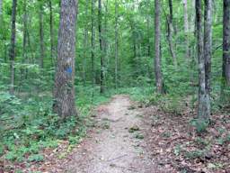 Shackleford Ridge Park