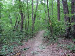 Shackleford Ridge Park