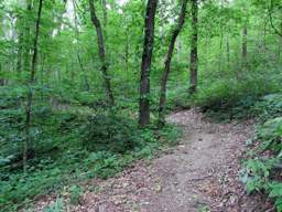 Shackleford Ridge Park