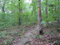 Shackleford Ridge Park