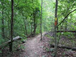 Shackleford Ridge Park
