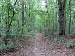 Shackleford Ridge Park