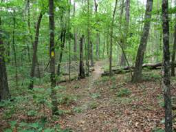 Shackleford Ridge Park