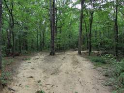 Shackleford Ridge Park