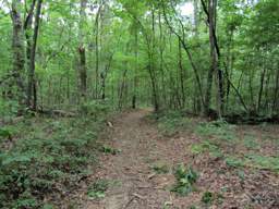 Shackleford Ridge Park