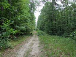 Shackleford Ridge Park