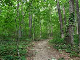 Shackleford Ridge Park