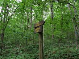 Shackleford Ridge Park