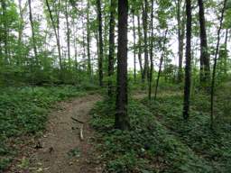 Shackleford Ridge Park