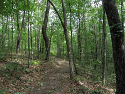 Shackleford Ridge Park