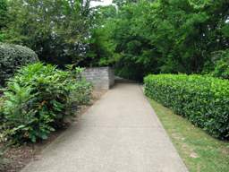 River Walk