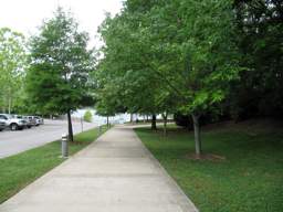 River Walk