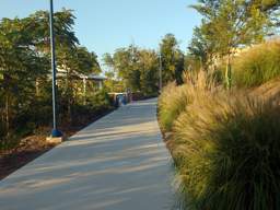 River Walk