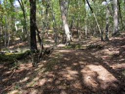 Enterprise South Nature Park