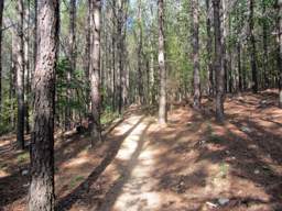 Enterprise South Nature Park