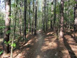 Enterprise South Nature Park