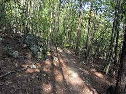 Enterprise South Nature Park
