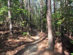 Enterprise South Nature Park