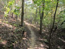 Enterprise South Nature Park