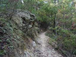 Enterprise South Nature Park