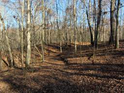 Enterprise South Nature Park