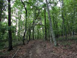 Enterprise South Nature Park