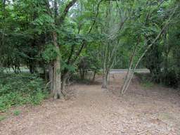 Enterprise South Nature Park