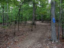 Enterprise South Nature Park
