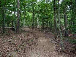 Enterprise South Nature Park