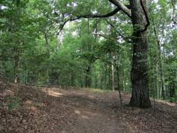 Enterprise South Nature Park