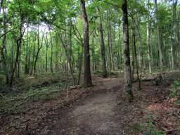 Enterprise South Nature Park