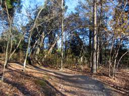 Enterprise South Nature Park