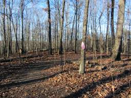 Enterprise South Nature Park