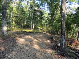 Enterprise South Nature Park