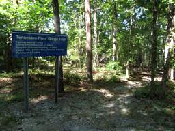 Raccoon Mountain Trail