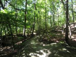 Raccoon Mountain Trail