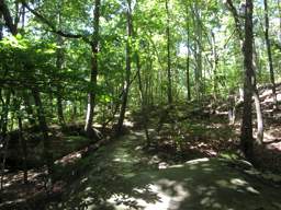 Raccoon Mountain Trail