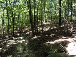 Raccoon Mountain Trail